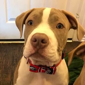 Meet your Posher, Renee